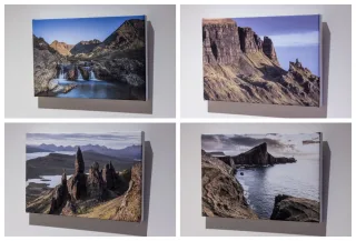 All 4 Canvas Prints