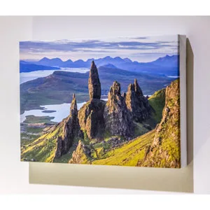 Canvas Prints