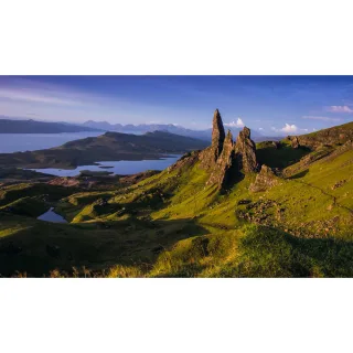 Summer Storr